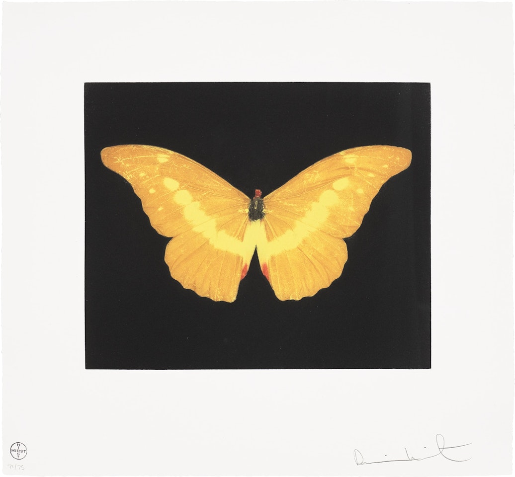 To Lure by Damien Hirst