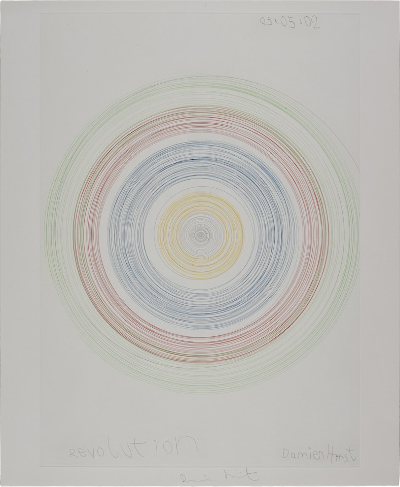 In a Spin, the Action of the World on Things II by Damien Hirst