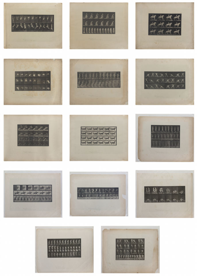 15 Plates from Animal Locomotion by Eadweard Muybridge