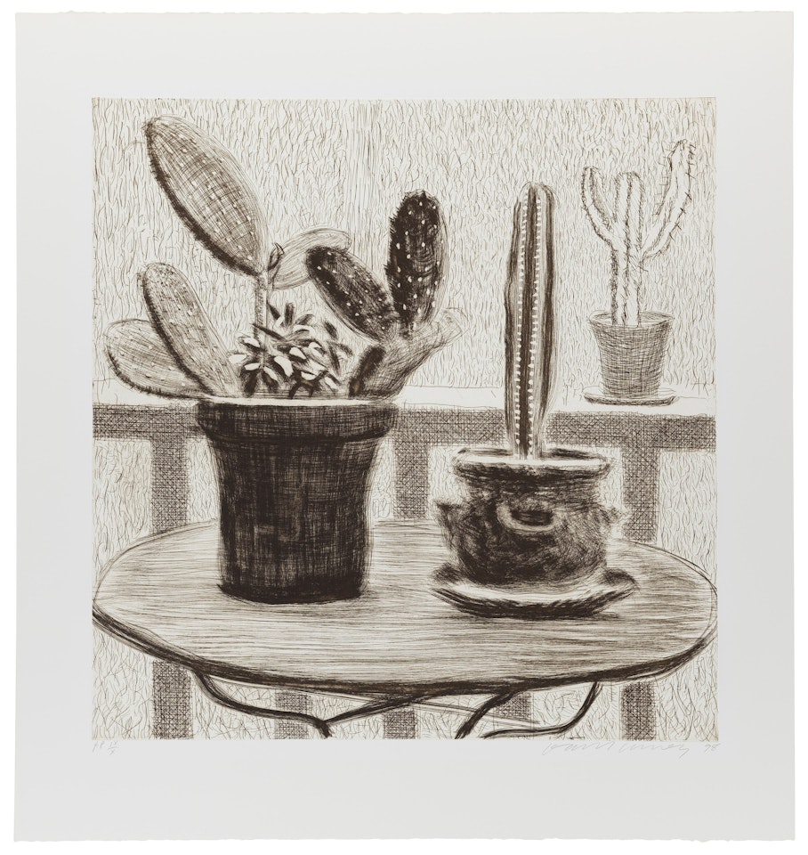 Cacti on Terrace (Pace 8) by David Hockney