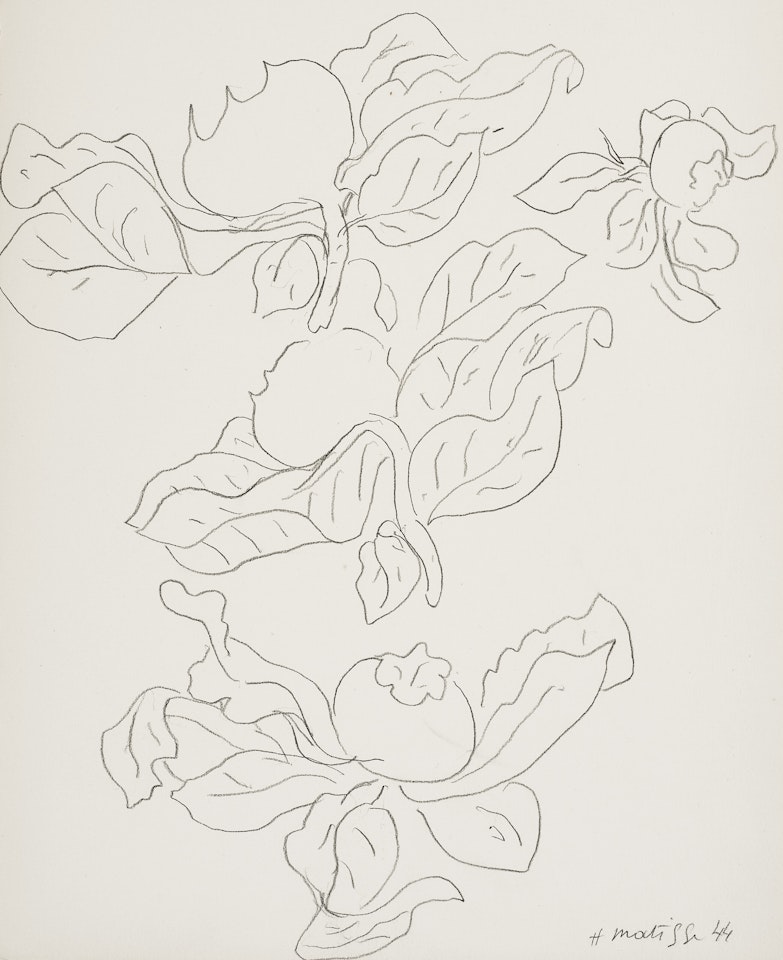 Etude de fruits et de feuilles de néflier; Etude de fruits et de feuilles de néflier by Henri Matisse