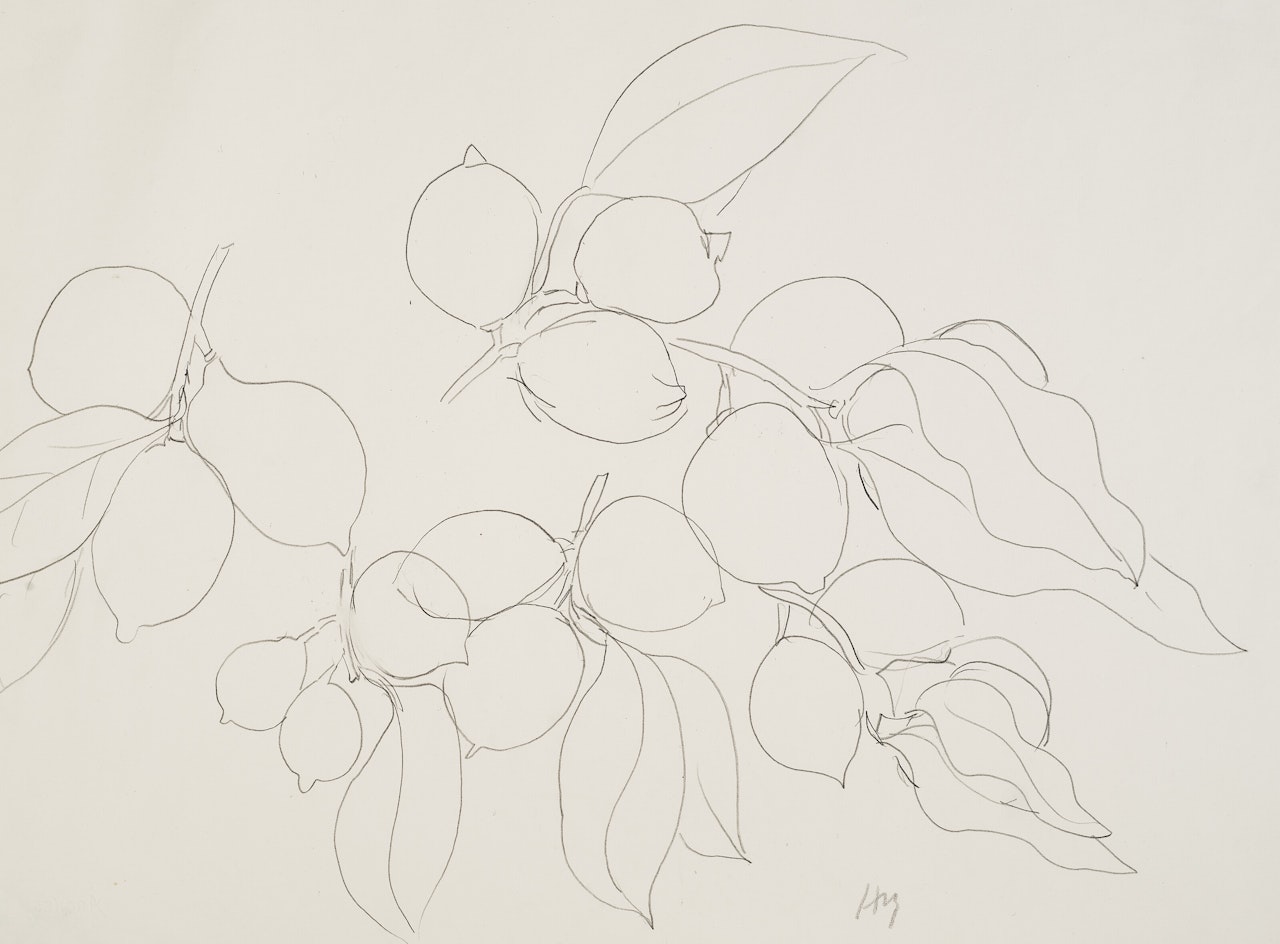 Etude de citrons by Henri Matisse