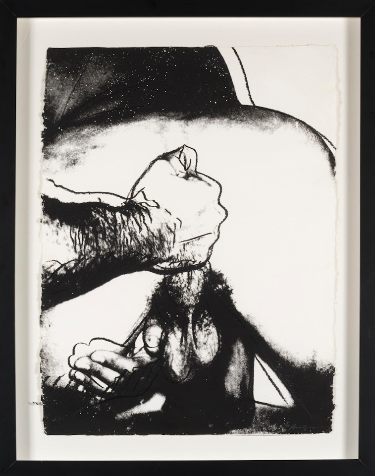 Sex Parts by Andy Warhol