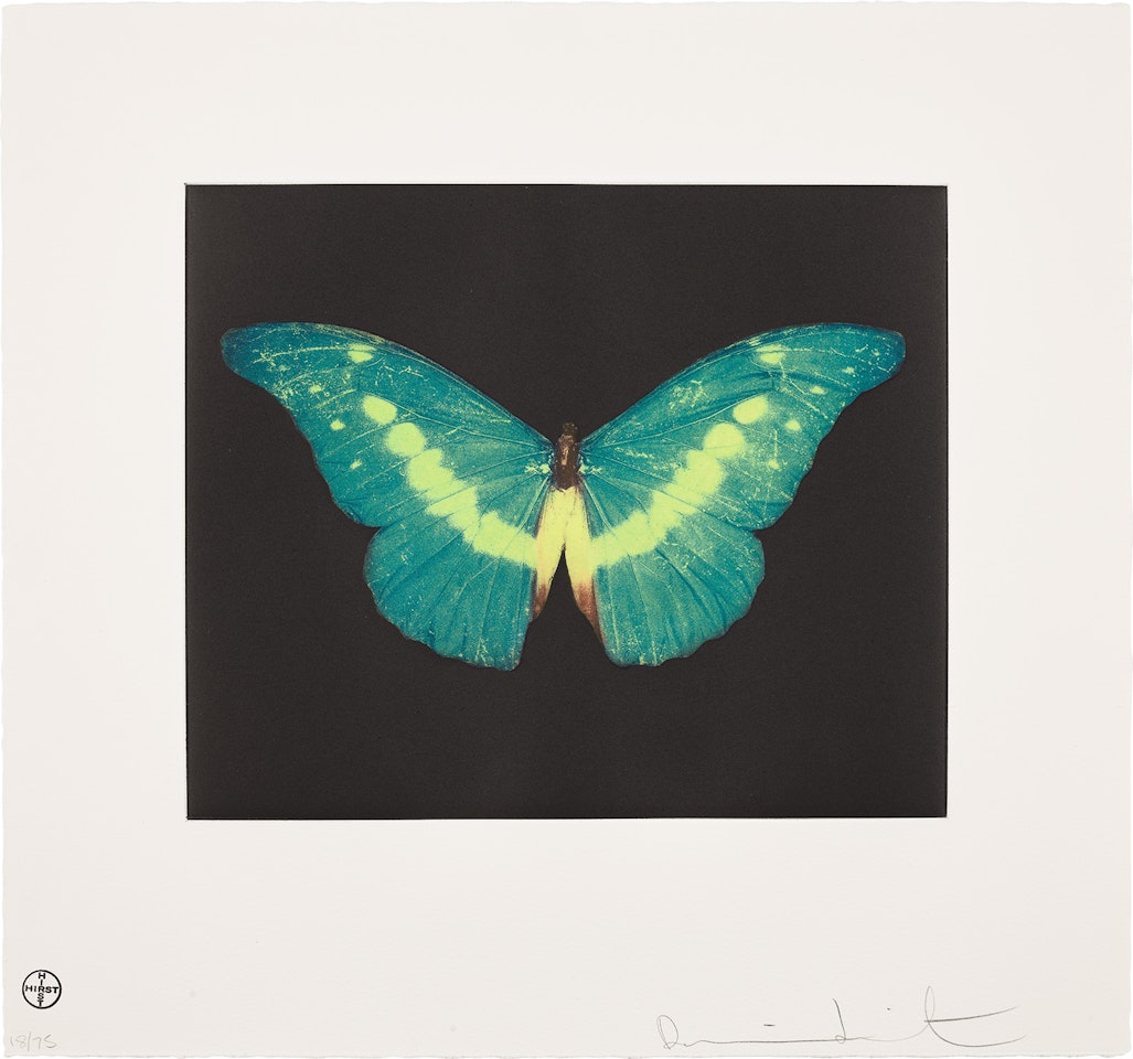 To Believe by Damien Hirst