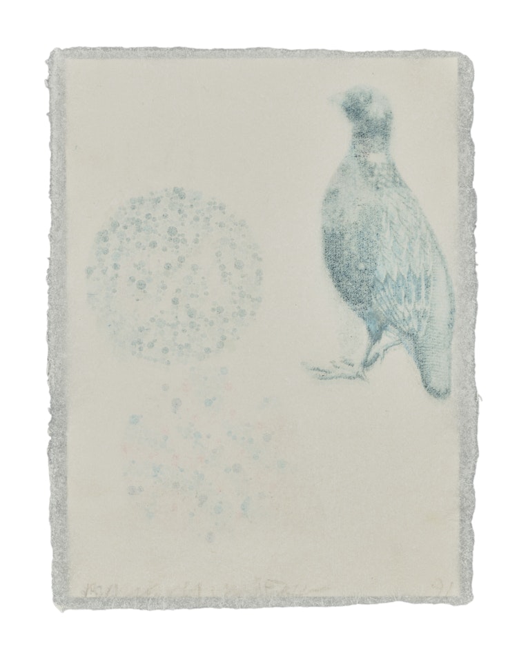 Untitled by Robert Rauschenberg