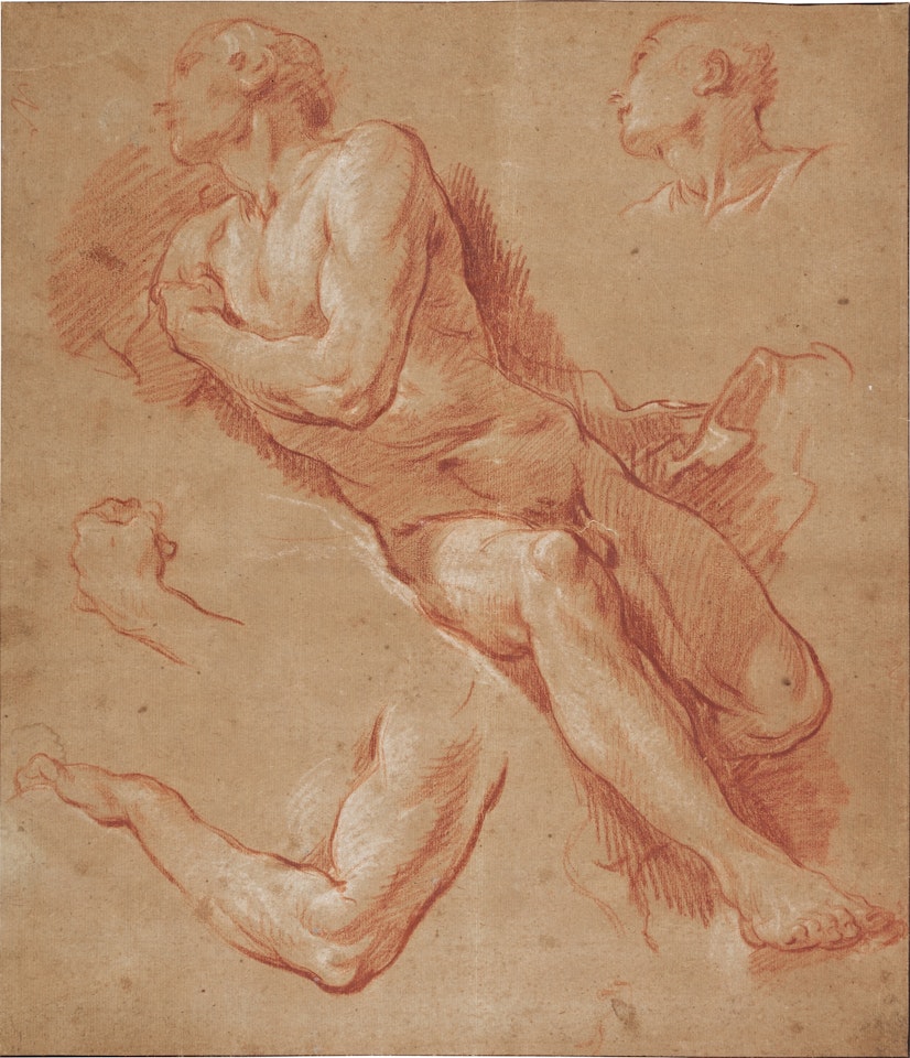 Study of a reclining male nude reclining, with subsidiary studies of his head, arm and hand by Francois Boucher