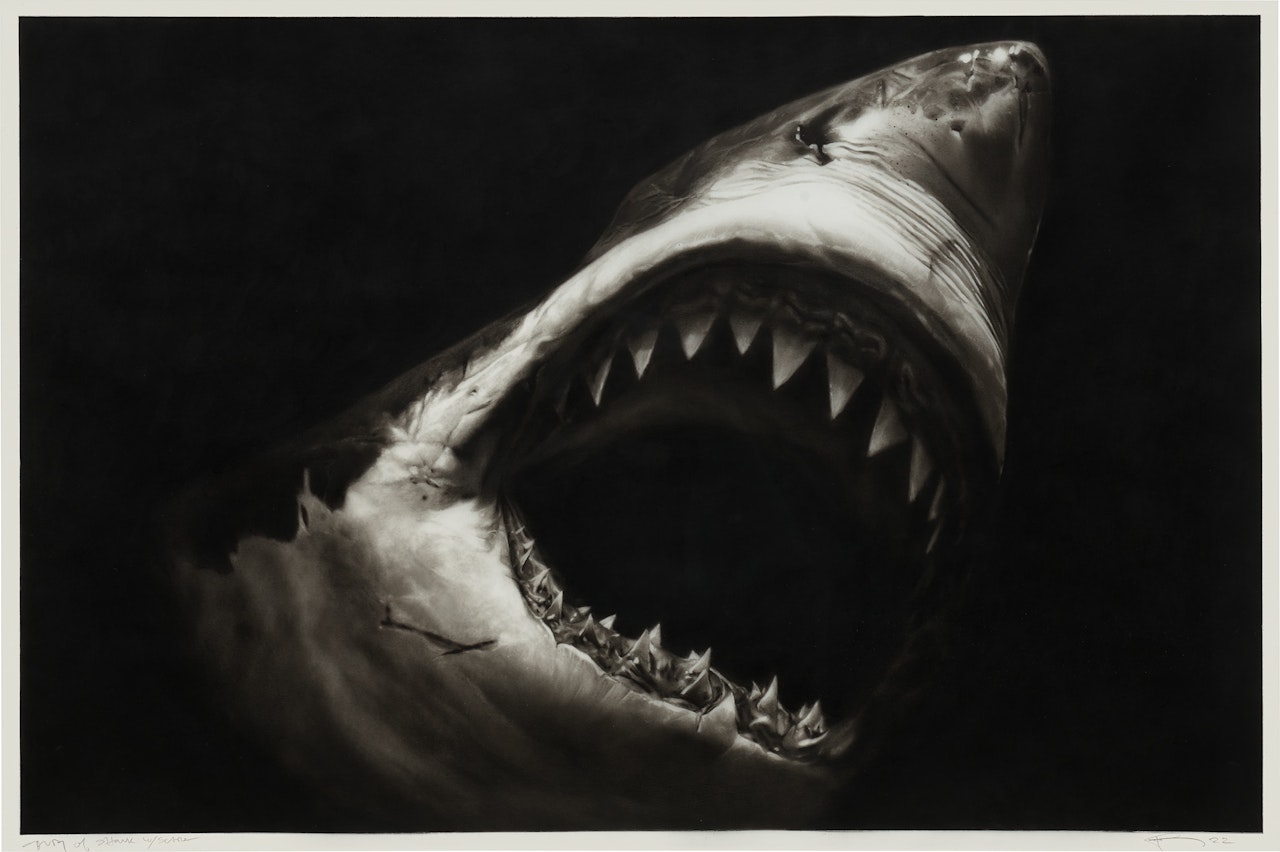 Study of Shark with Scar by Robert Longo