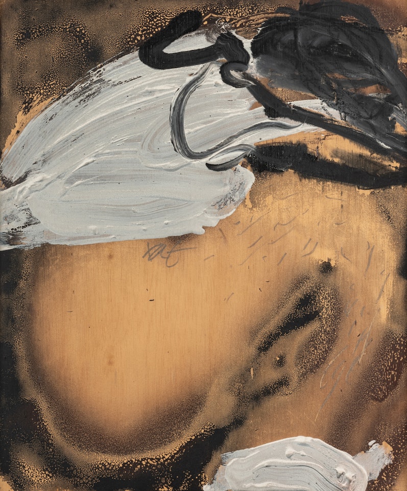 Nu de vernís by Antoni Tapies