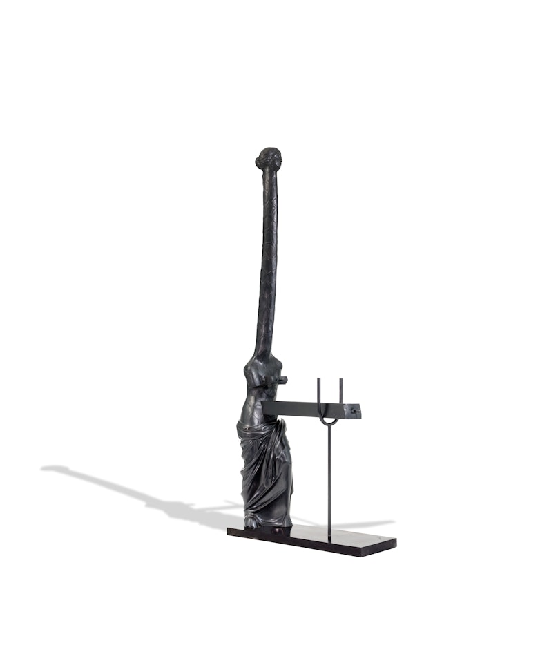 Vénus à la girafe by Salvador Dali