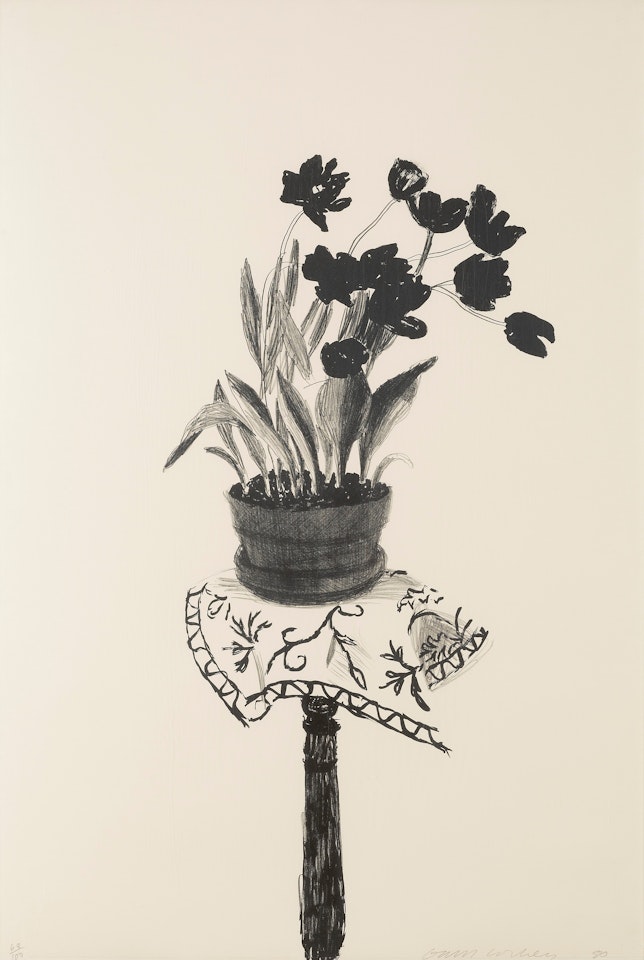 "Black tulips" by David Hockney