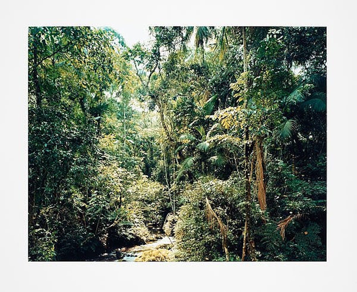 "Sao Fransisco de Xavier, Brazil" by Thomas Struth