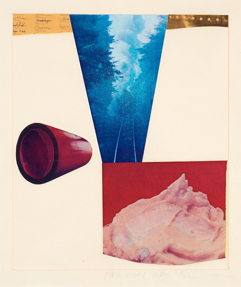 "Horsefeathers thirteen -VI" by Robert Rauschenberg