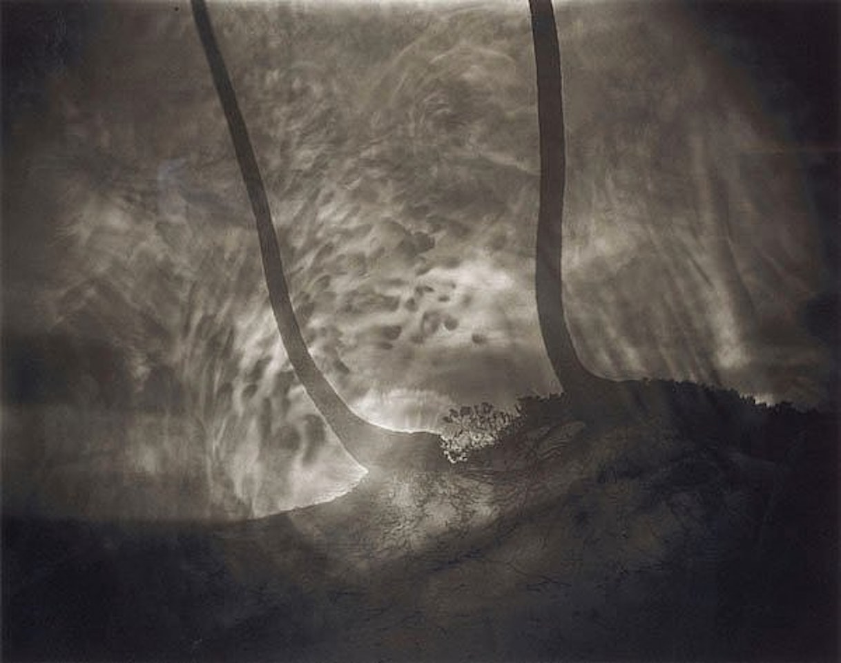 "Untitled" by Sally Mann