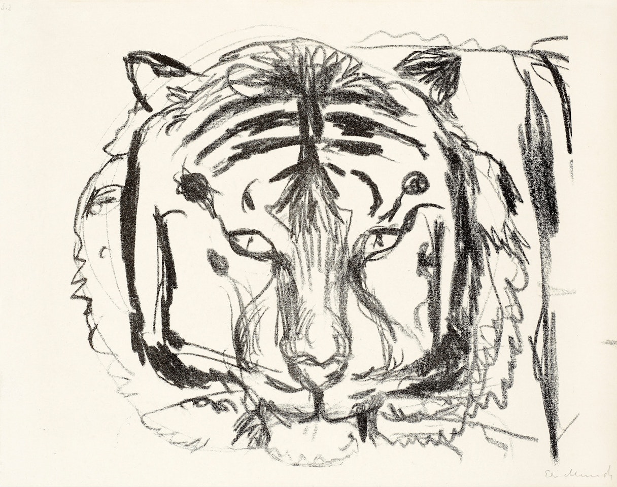 "Tiger head II" (Tigerkopf II) by Edvard Munch