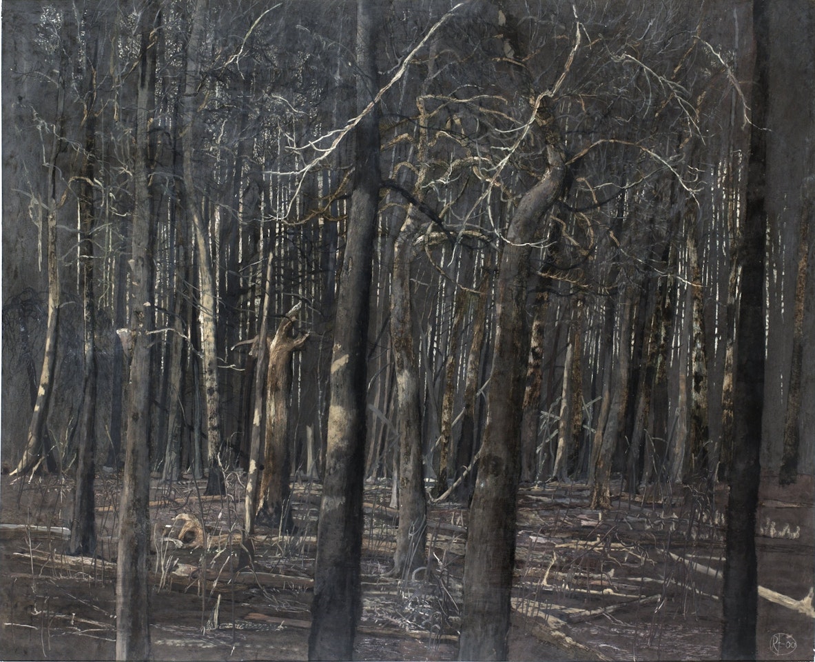 Tree by Roj Friberg