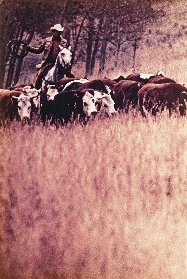 Untitled (from the series "Cowboys and Girlfriends" by Richard Prince