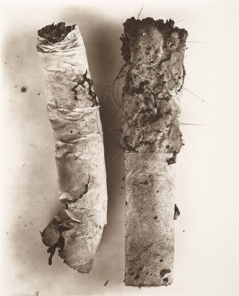 "Cigarette No 17, New York" by Irving Penn
