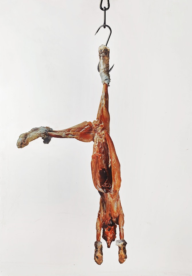 "Coniglio" by Michelangelo Pistoletto