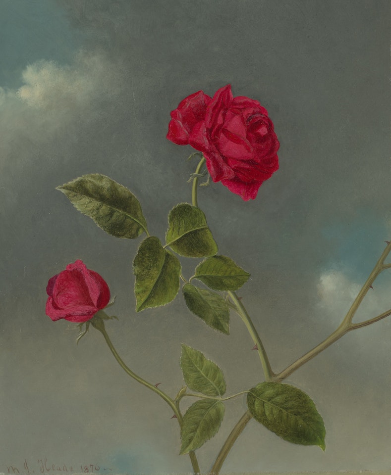 Roses by Martin Johnson Heade