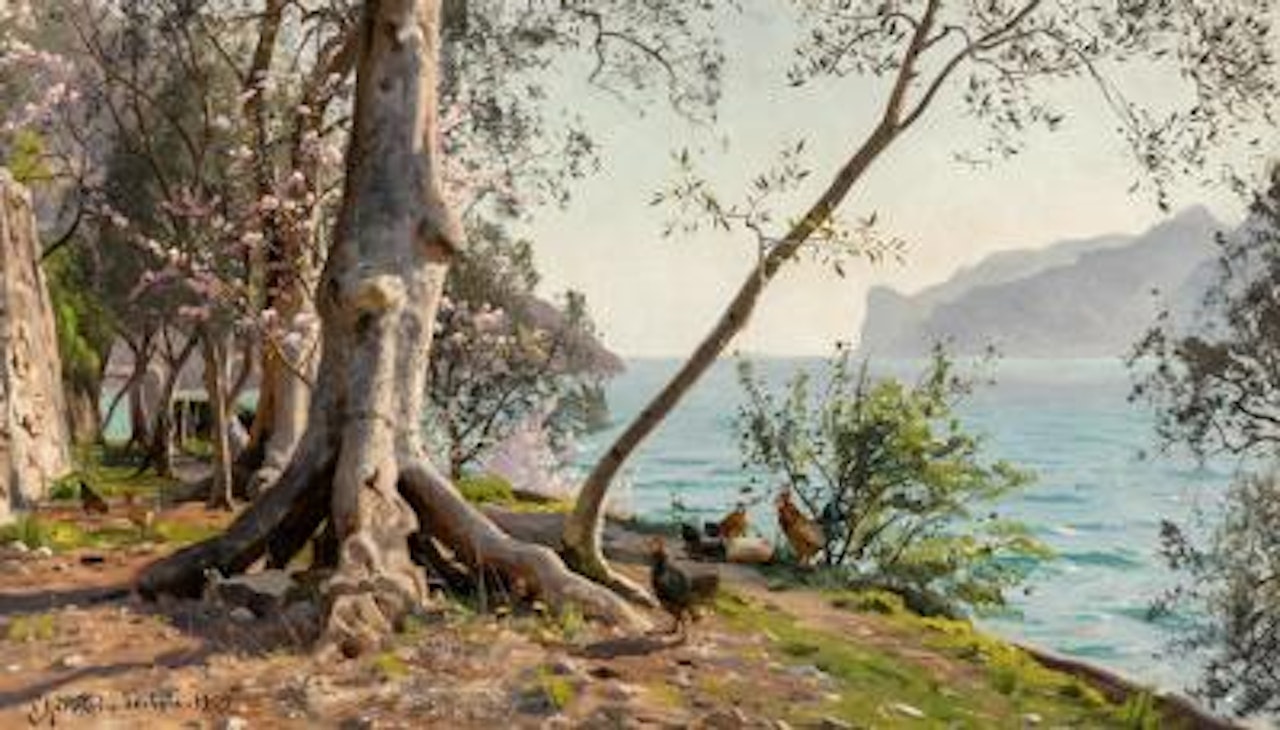 “Oliven- og blomstrende ferskentræer ved Gardasøen, Torbole”. Olive trees and blooming peach trees by Lake Garda, Italy by Peder Mork Monsted