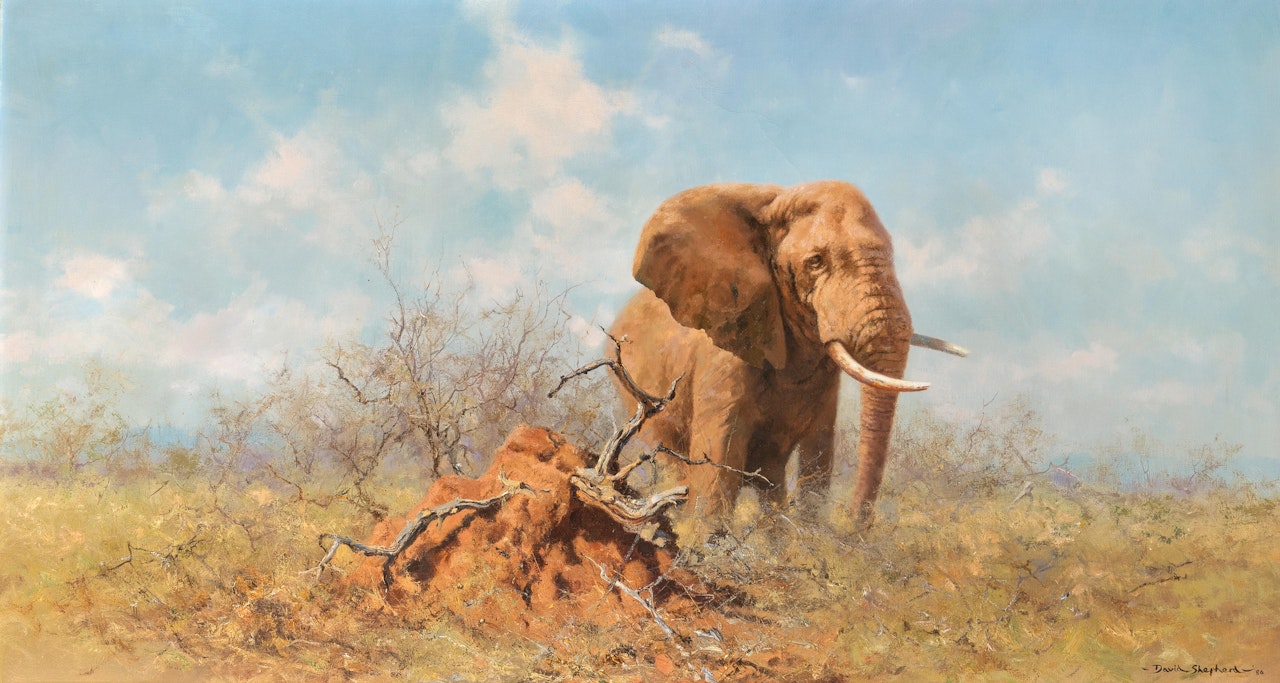 Elephant in the Brush by David Shepherd