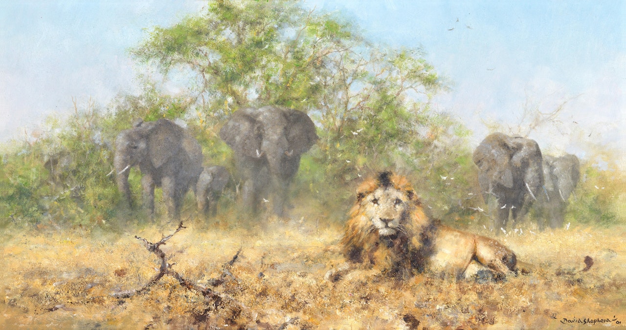 Elephants and Lion by David Shepherd