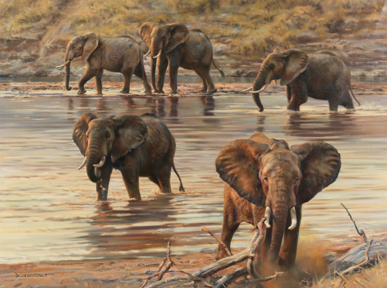 Elephants by Donald Grant