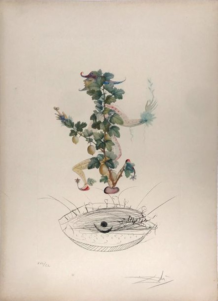 Flordali : Les Fruits - Révérence du groseillier by Salvador Dali