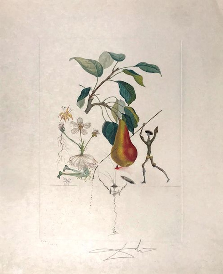 Flordali: Les Fruits - Poire Don Quichotte by Salvador Dali