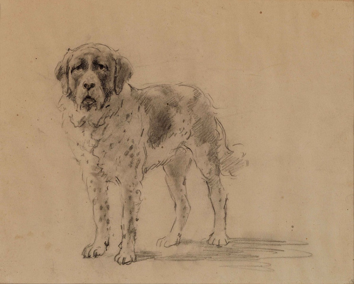 Saint-Bernard by Otto Eerelman