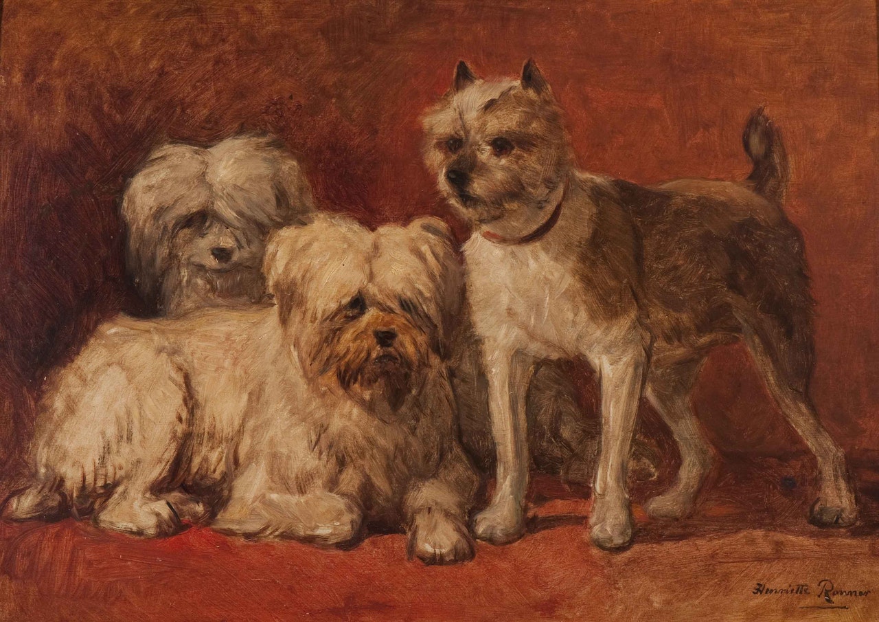 Two Maltese dogs and a terrier by Henriette Ronner-Knip