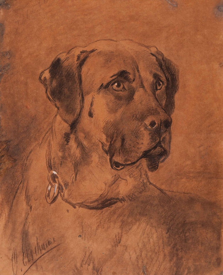 English Mastiff by Otto Eerelman