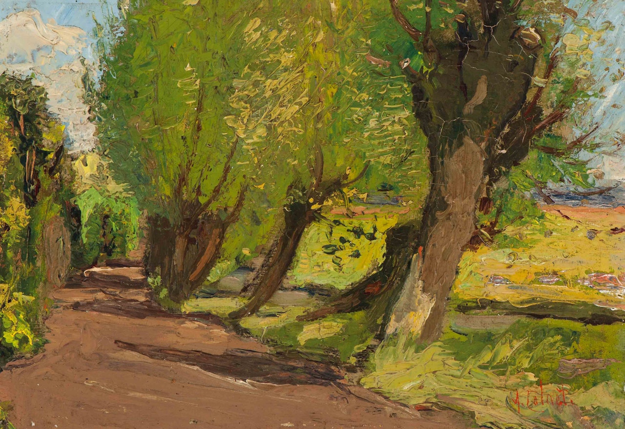 Forest Path by Arnout Colnot