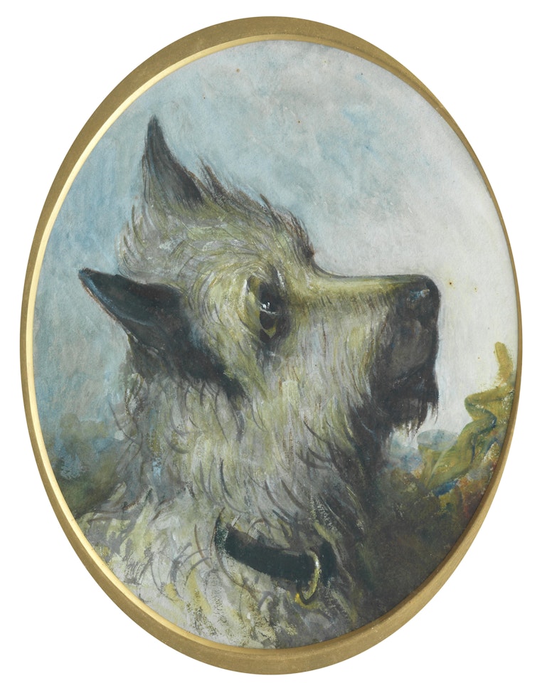 Portrait of a Cairn Terrier by English School