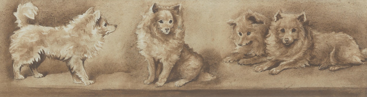 A study of four Spitz dogs by English School