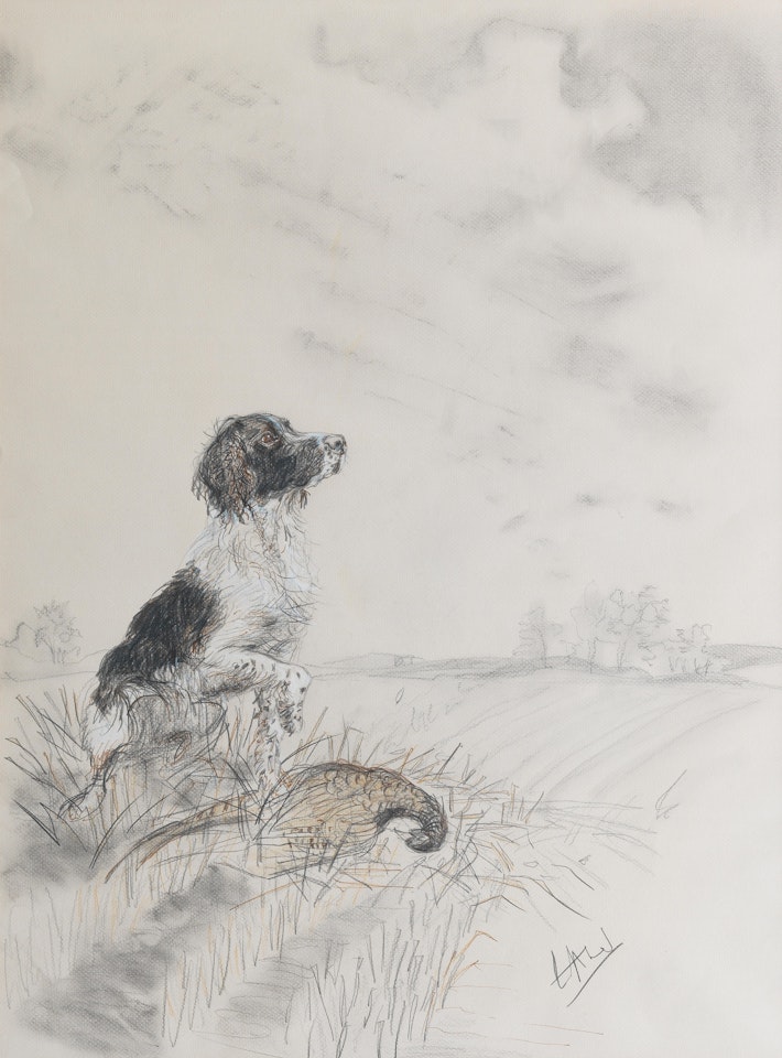 A Springer Spaniel in a landscape with hen pheasant by English School