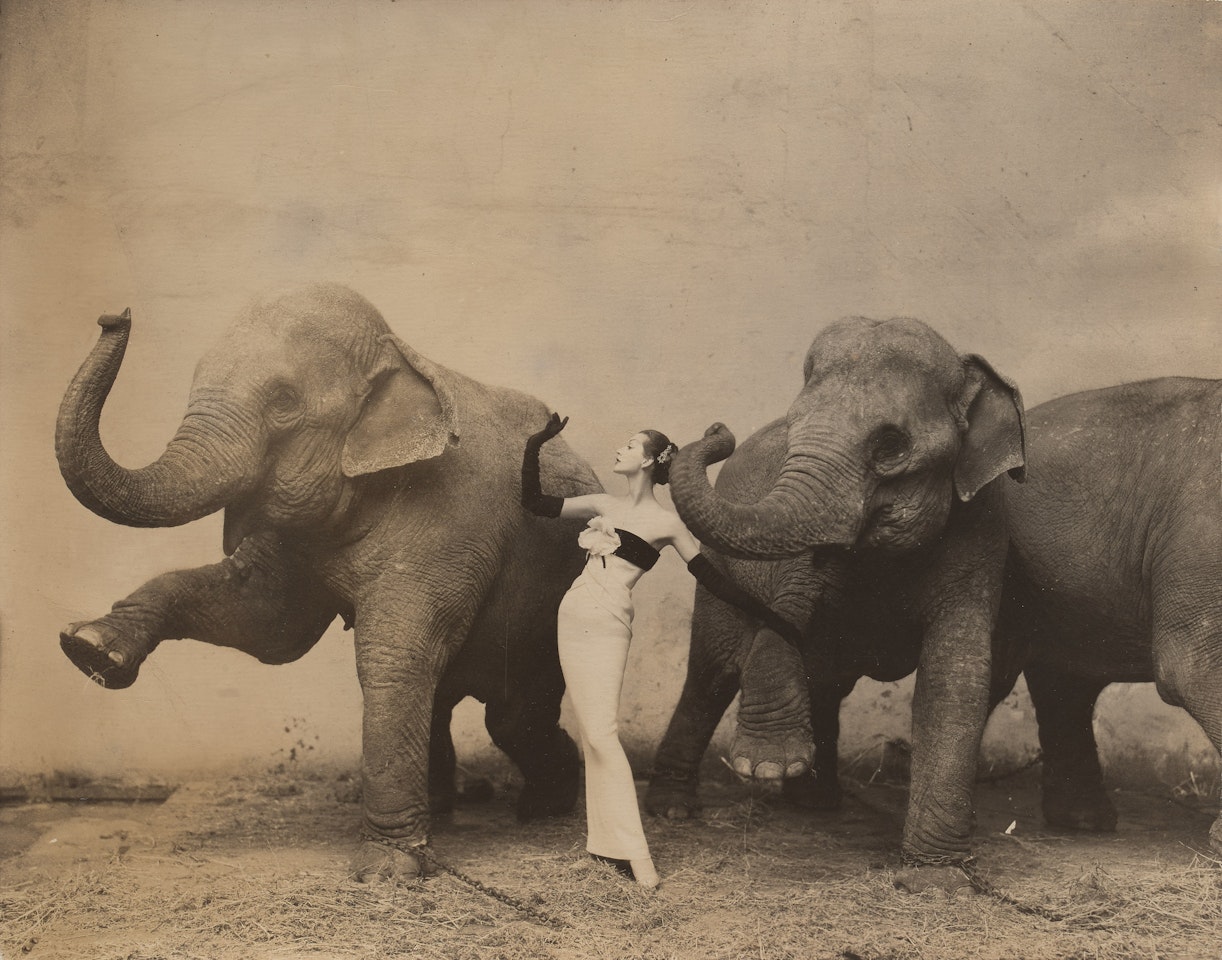"Dovima with Elephants" by Richard Avedon