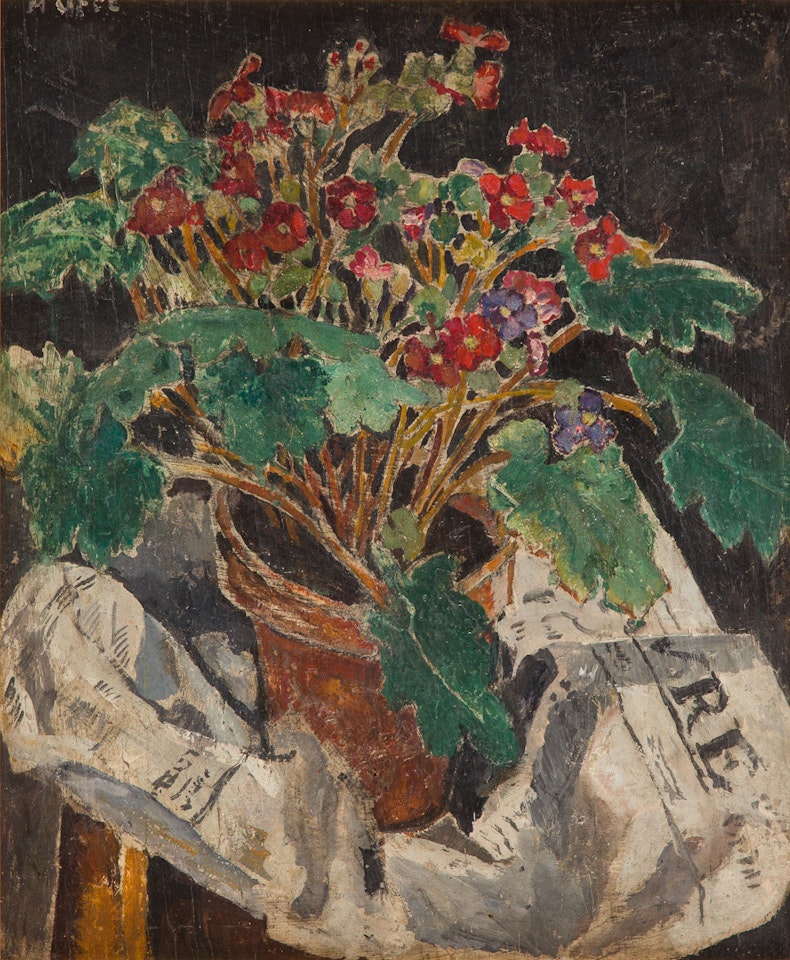 Geranium by Mela Muter
