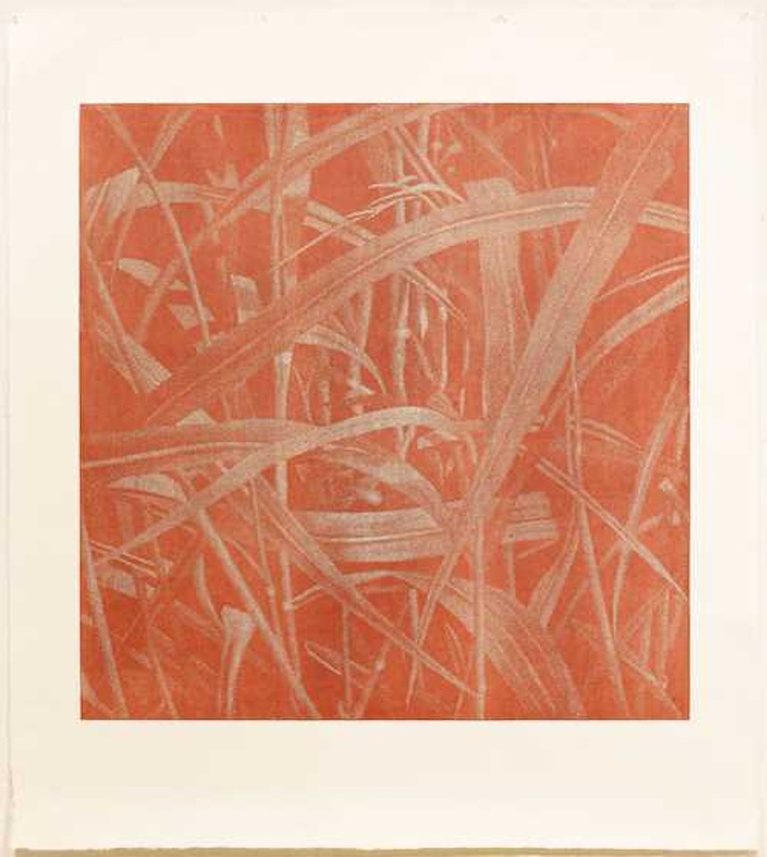 Gräser. #13 by Franz Gertsch