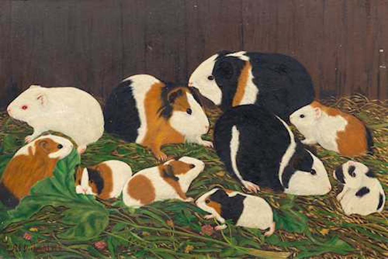 Ten guinea pigs by Adolf Dietrich