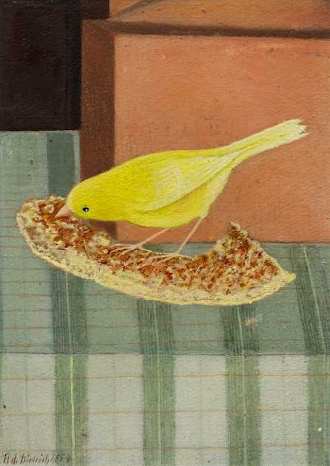 Canary on a piece of flan by Adolf Dietrich