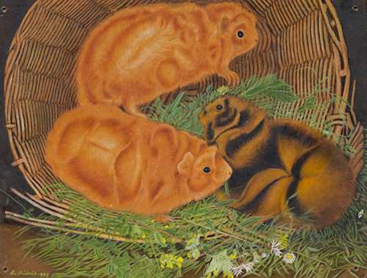 Angora guinea pigs by Adolf Dietrich