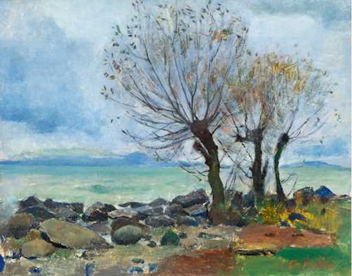 Weiden am Genfersee. (Meadows at Lake Geneva) by Ferdinand Hodler