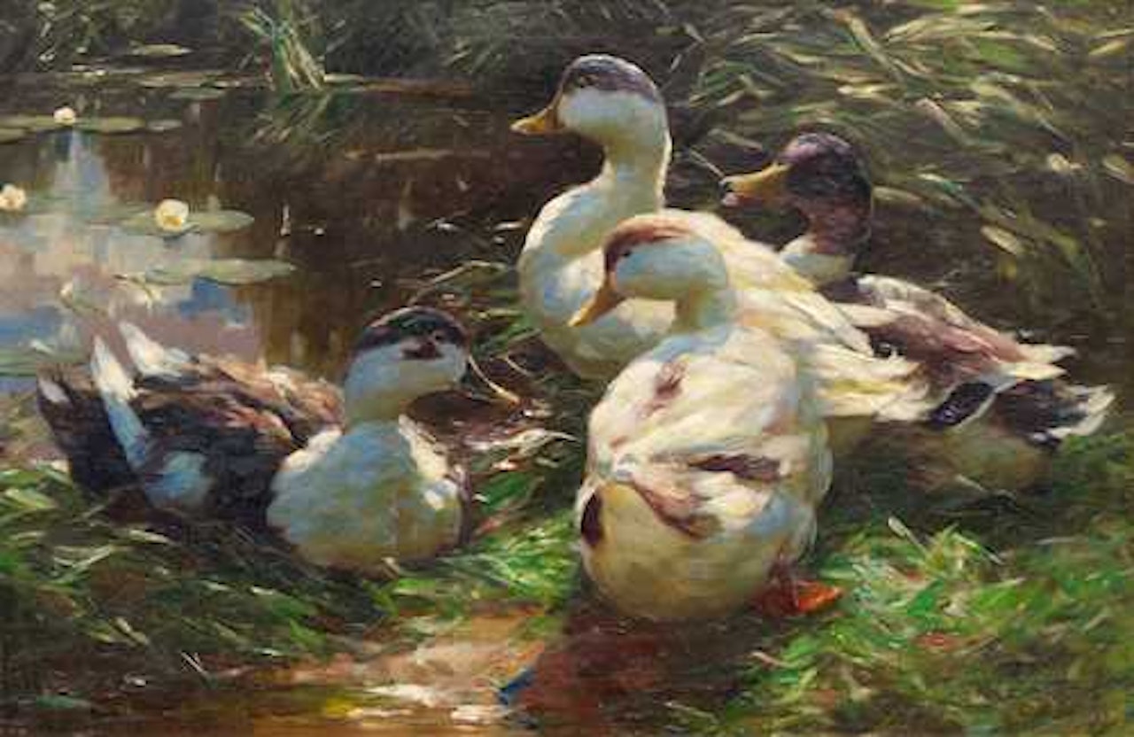 Four ducks at a pond. by Alexander Koester