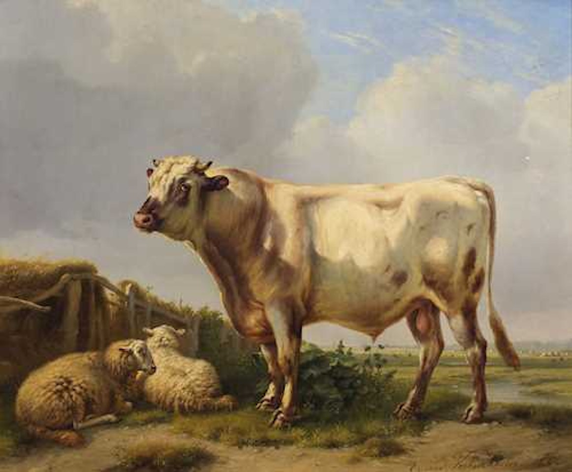 Bull and sheep in a meadow by Eugène Joseph Verboeckhoven
