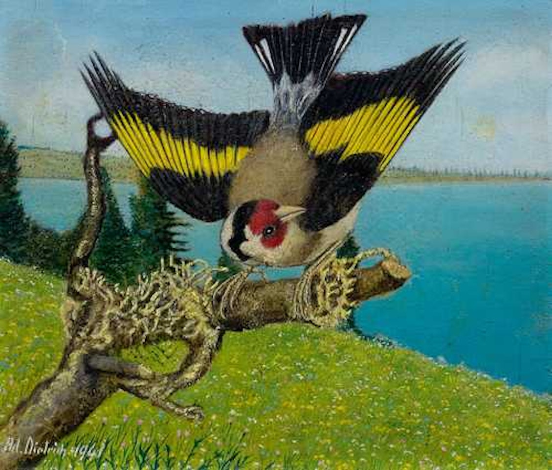 Distelfink vor Seelandschaft by Adolf Dietrich