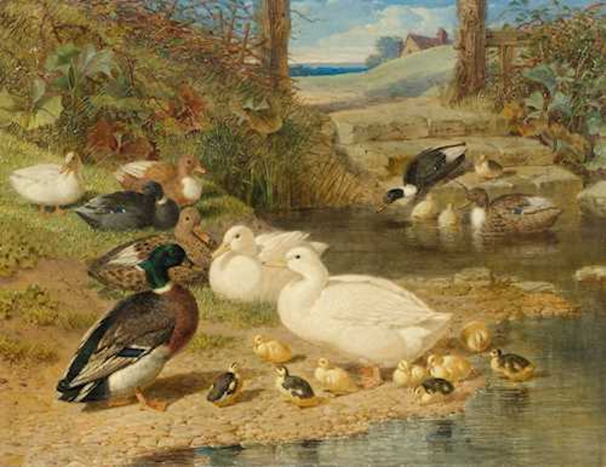 Family of ducks by a pond by John Frederick Herring