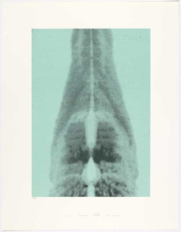 Untitled (Columbus) by Sigmar Polke