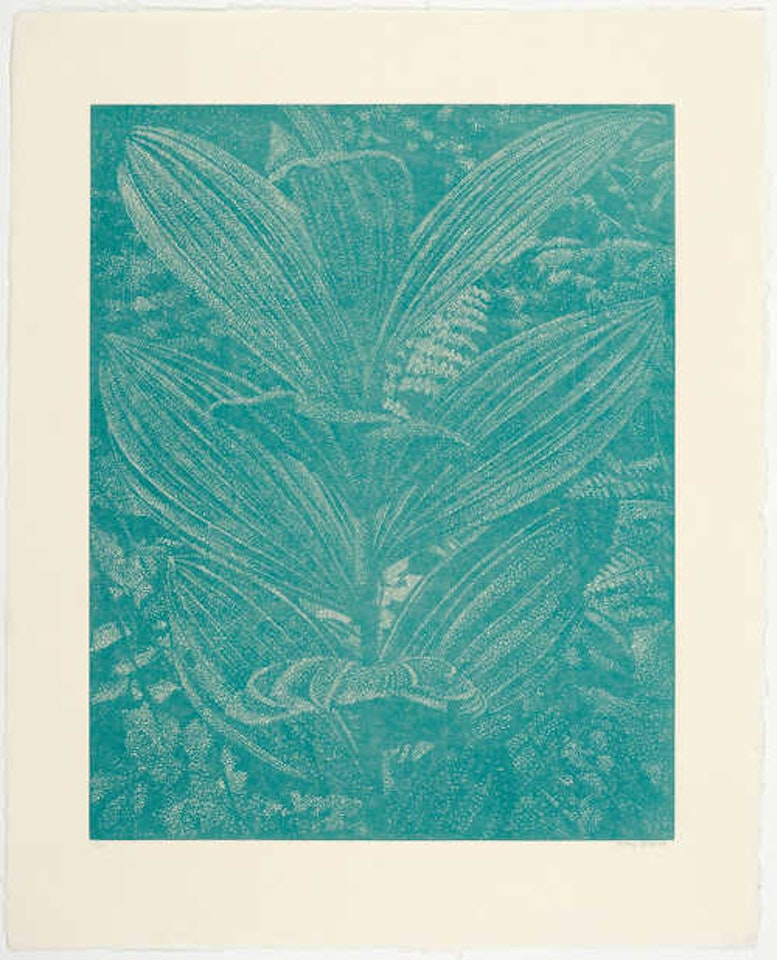 Gelber Enzian (turquoise) by Franz Gertsch