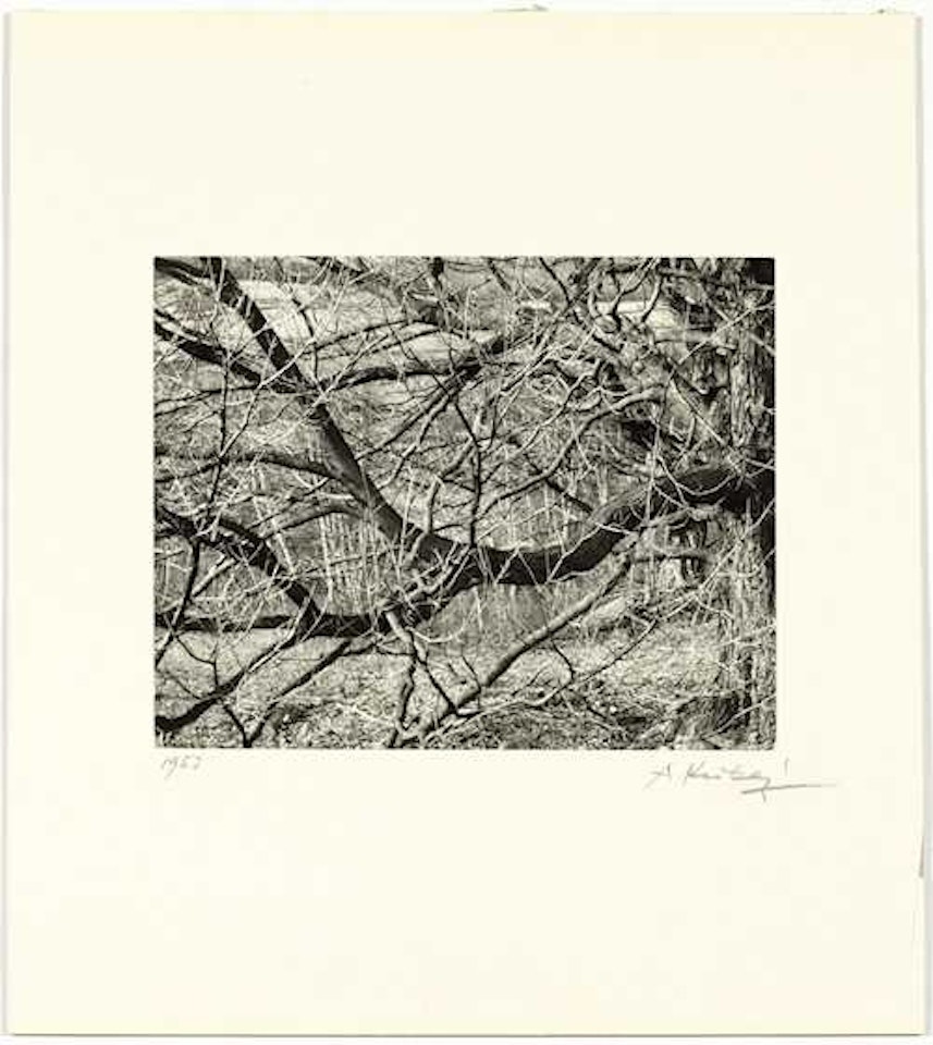 Brewster, Conn by André Kertész